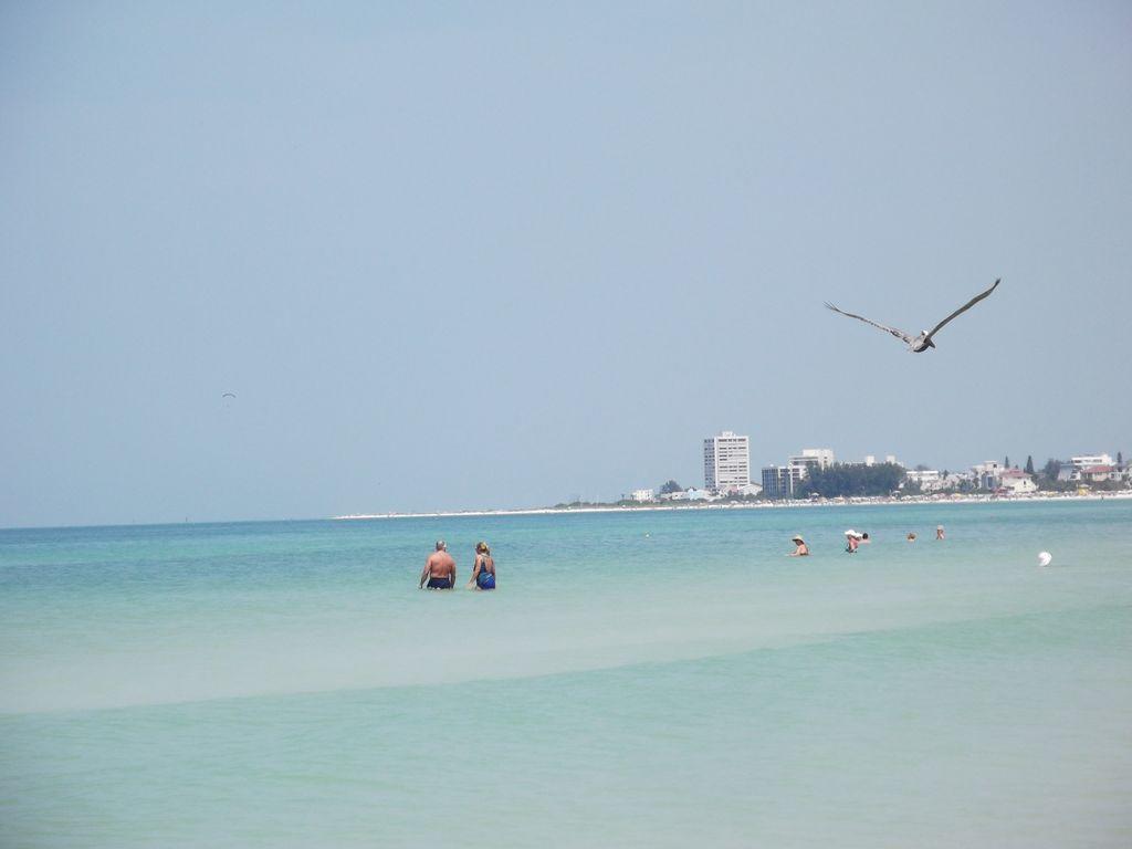 2Br/1Ba Vacation Rental - Sienna Park Sarasota Exteriör bild